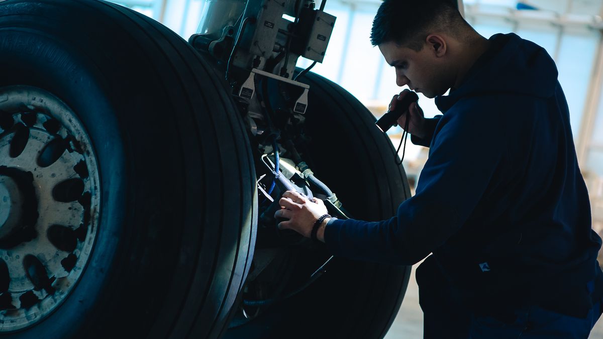 Landing gear inspection during a line check